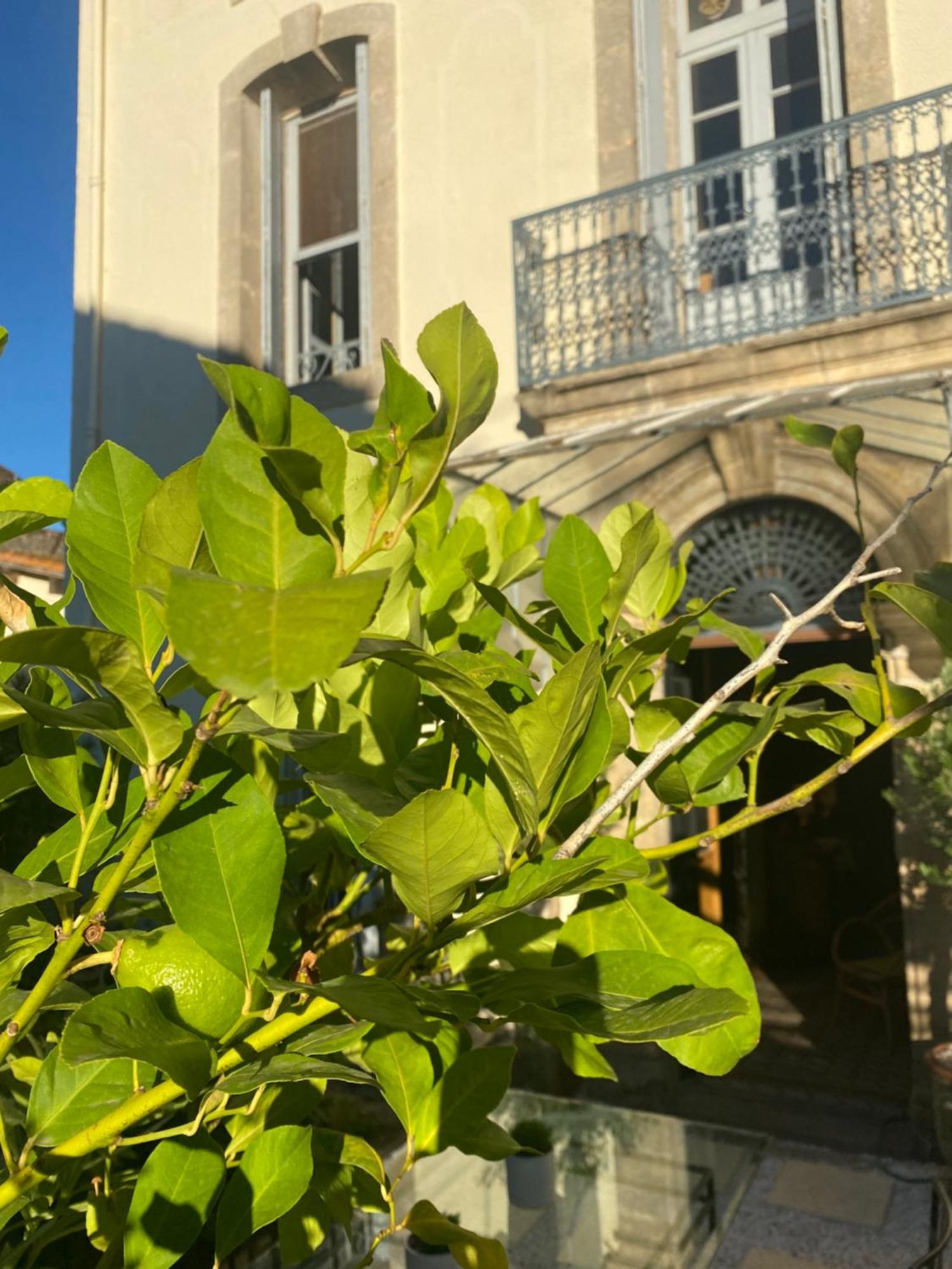 Le Jardin Hotell Aspiran Exteriör bild